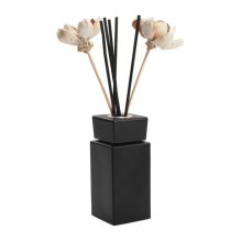Diffuser Diffuser