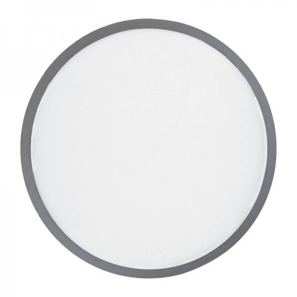 Frisbee